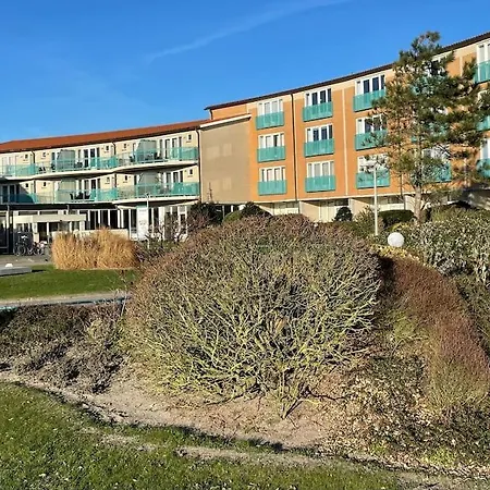 Strandslag Juliana 201